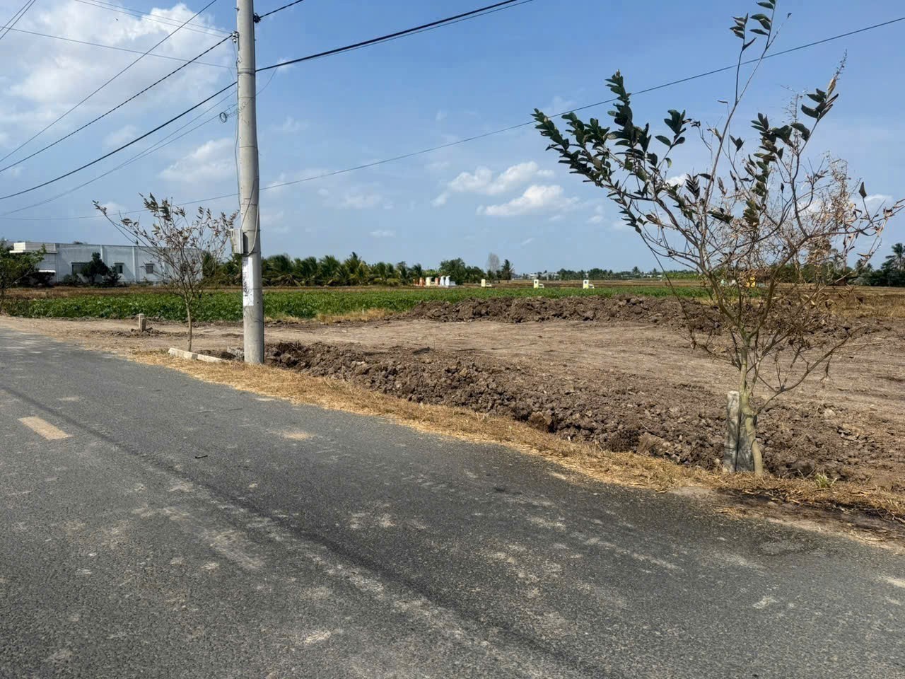Hot : 6 lô thổ cư liền kề , mặt tiền đường nhựa xã Bình Trinh Đông , Tân Trụ dt 130m2 giá 850tr/ lô 3