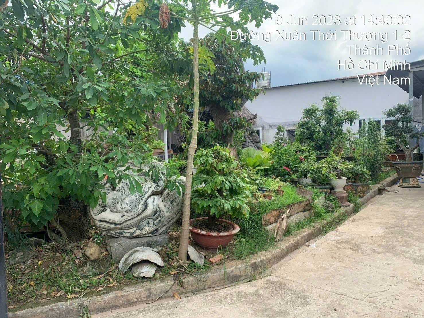 GẤP GẤP – SIÊU PHẨM ĐẤT LỚN NỞ HẬU DƯƠNG CÔNG KHI – GIÁ CHỈ 11 TỶ (TL) 2