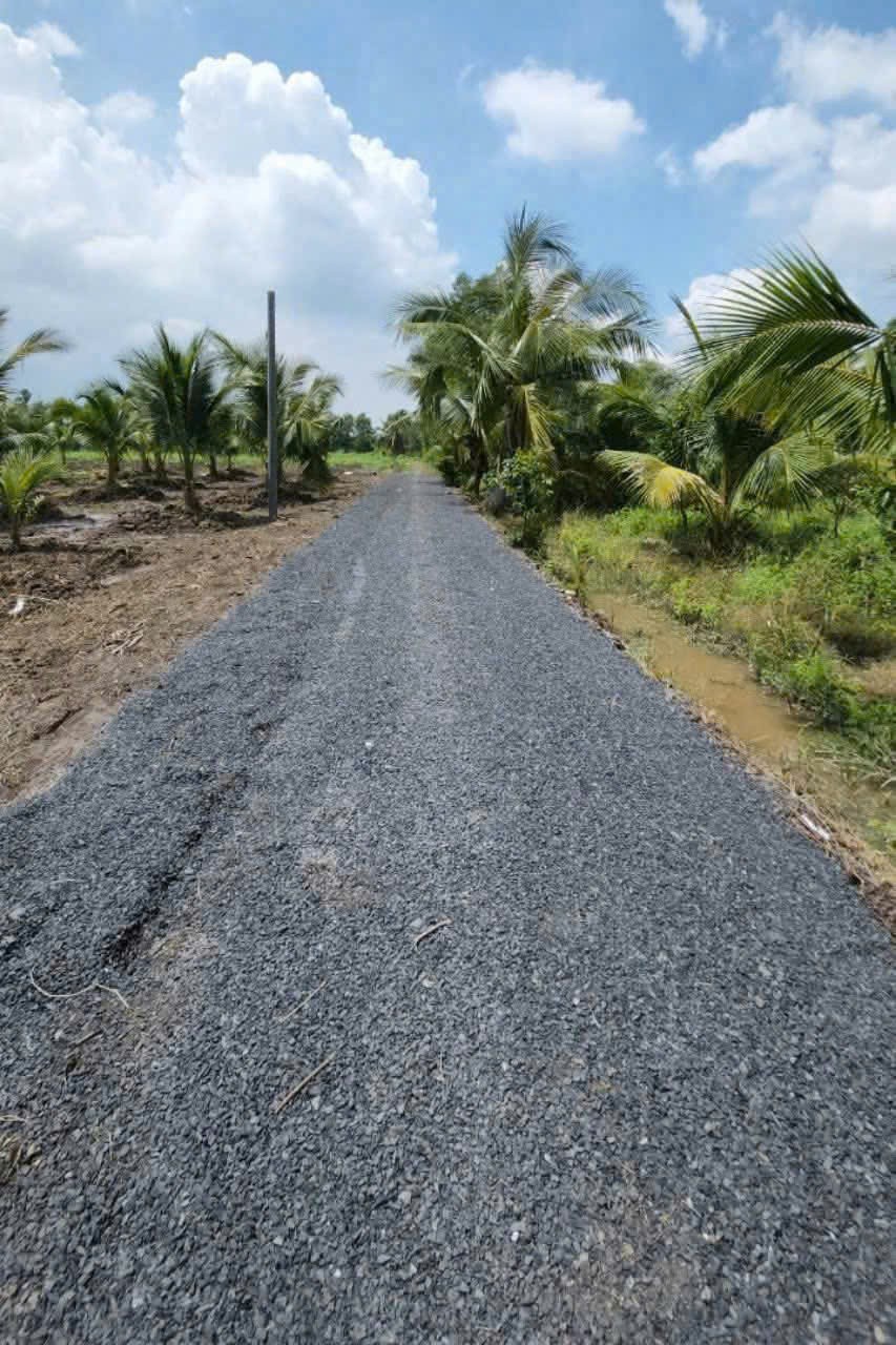 Bán 3 lô đất vườn dừa đường oto đá xanh , xã Bình Đức dt 1000m2 giá 1,4 tỷ / lô 6