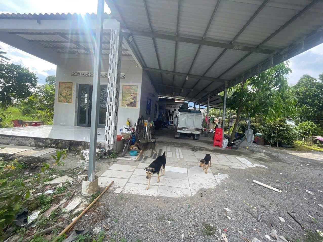 Bán lô đất 2 mt sông Vàm Cỏ Đông , xã Thạnh Hòa dt 2784m2 ( 300m2 thổ ) giá 4,1 tỷ 3