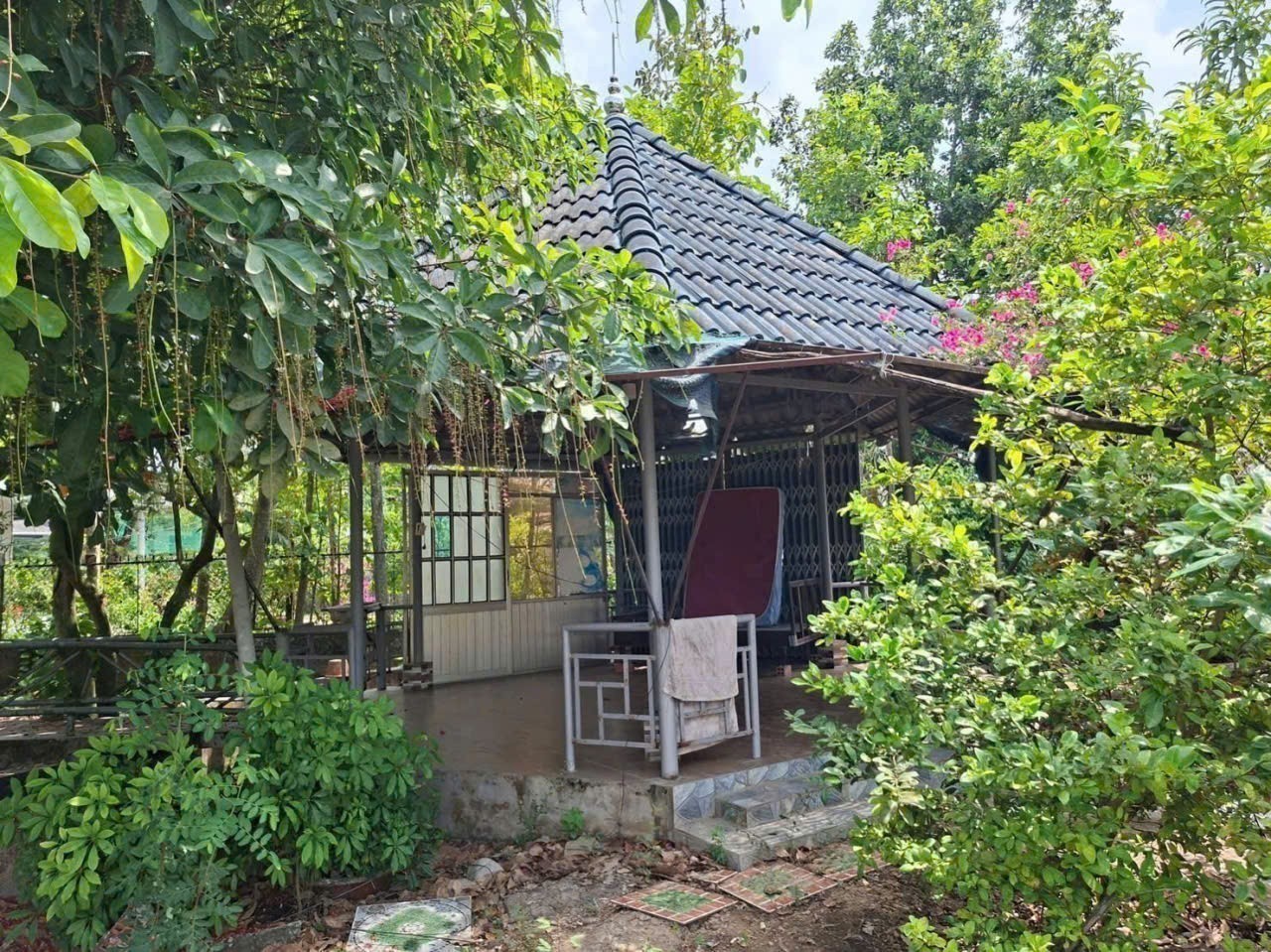 Bán nhà vườn xã Bình Tịnh, Tân Trụ dt 4000m2 ( 1582m2 thổ ) giá 5,5 tỷ 6