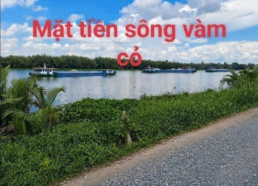 Bán đất vườn view sông Vàm Cỏ Đông , xã Thạnh Hòa, Bến Lức dt 1000m2 giá 1,55 tỷ