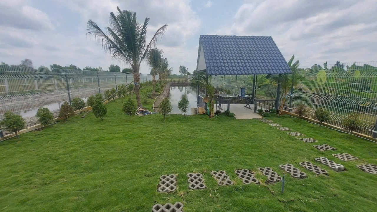 Bán nhà vườn Tân Thành , thủ Thừa dt 1000m2 chưa thổ ,có hồ thủy tạ , sân vườn, 2pn giá 1,399 tỷ 2