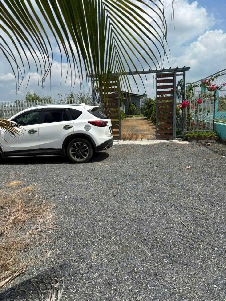 Bán nhà vườn Tân Thành , thủ Thừa dt 1000m2 chưa thổ ,có hồ thủy tạ , sân vườn, 2pn giá 1,399 tỷ 3