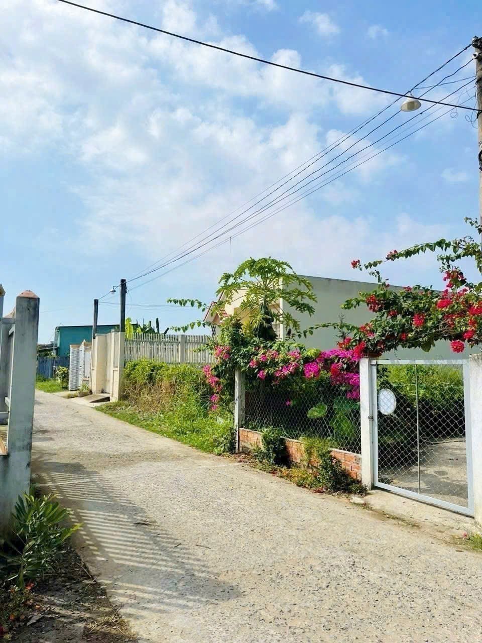 Bán đất đường beton xe tải Mỹ Bình, Tân Trụ dt 210m2 giá 790 triệu