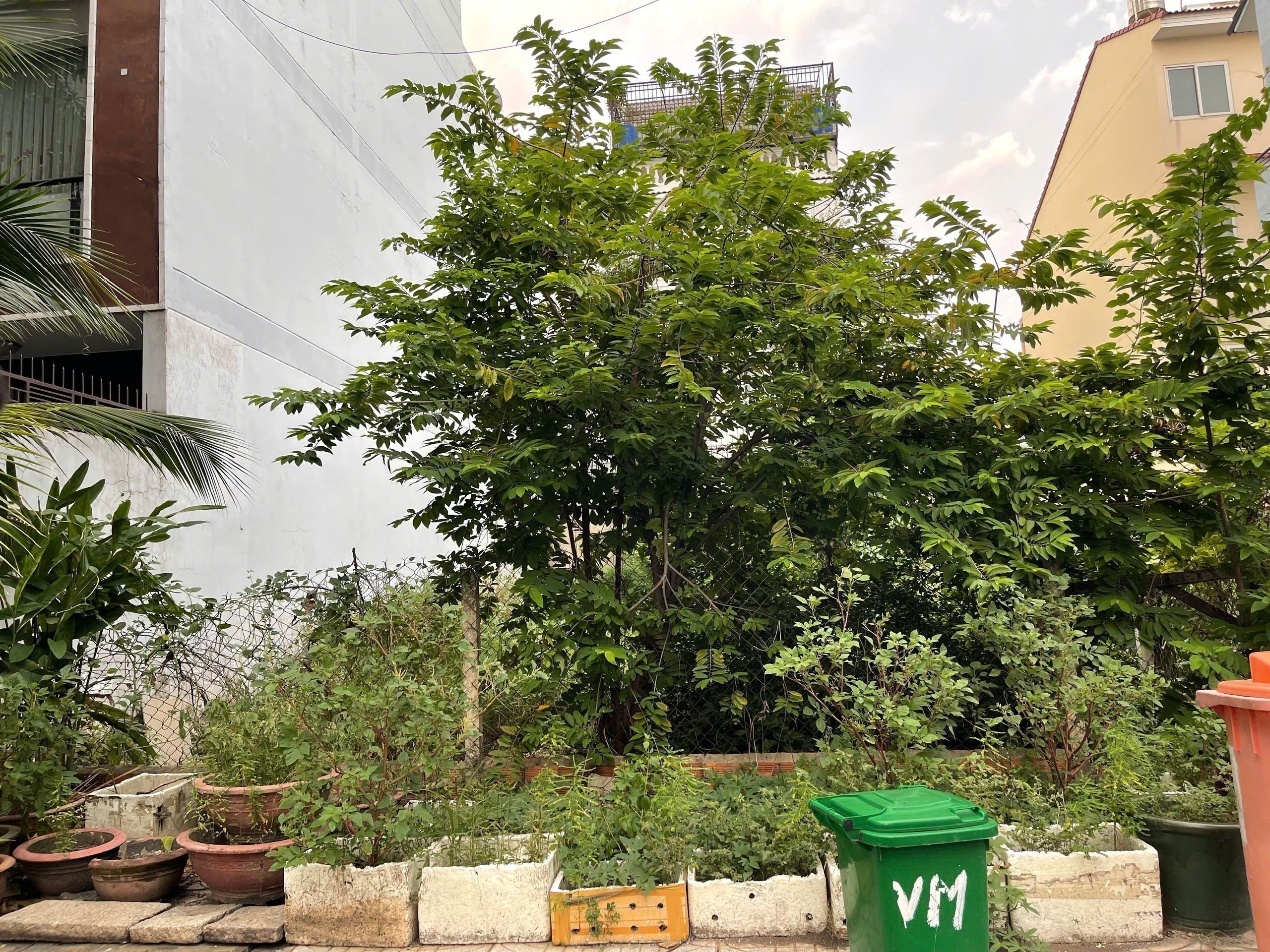 Cần bán Đất Quận 2, Hồ Chí Minh, Diện tích 144m², Giá Thương lượng 2