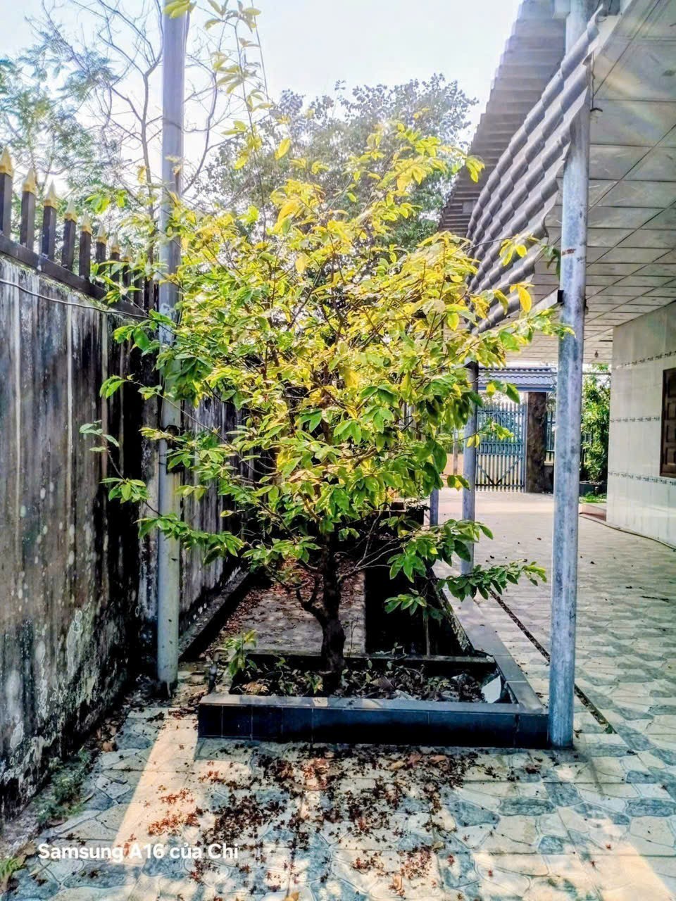 Nhà vườn mái thái gần chợ Lục Viên , xã Đức Lập Hạ tdt 396m2 , 2pn,2wc giá 3,2 tỷ 10
