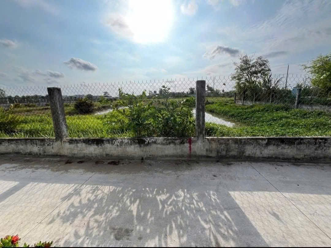 Bán đất lúa đường beton 2m xã Phước Lợi, Bến Lức dt 1540m2 giá 2,7 tỷ