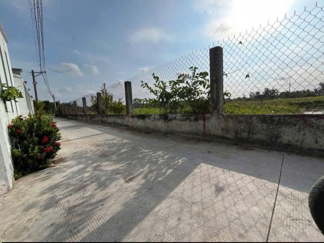 Bán đất lúa đường beton 2m xã Phước Lợi, Bến Lức dt 1540m2 giá 2,7 tỷ 2