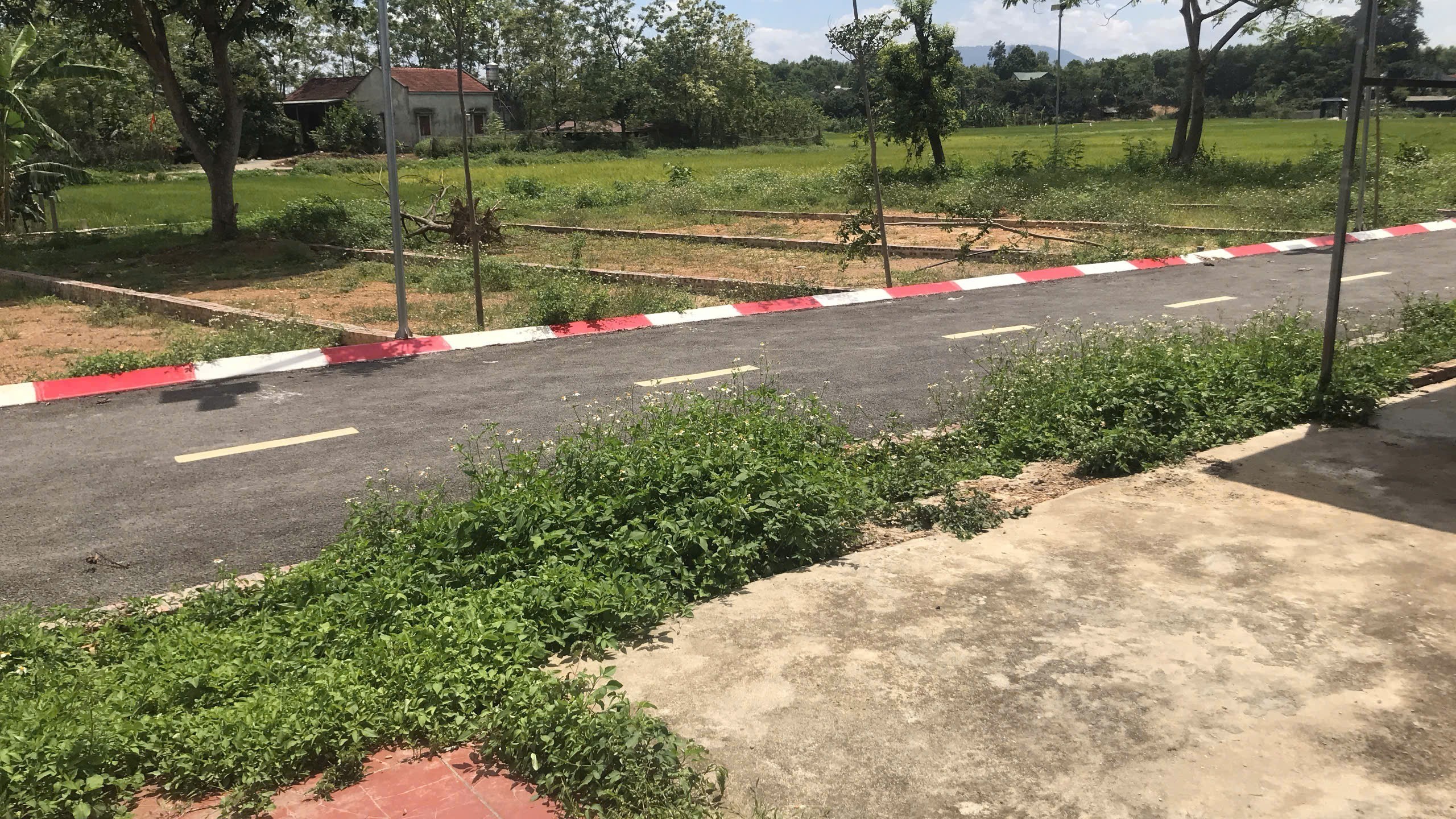 Sở hữu lô đất 80,4m2 Cổ Đông, Hòa Lạc chỉ 2 tỷ 4