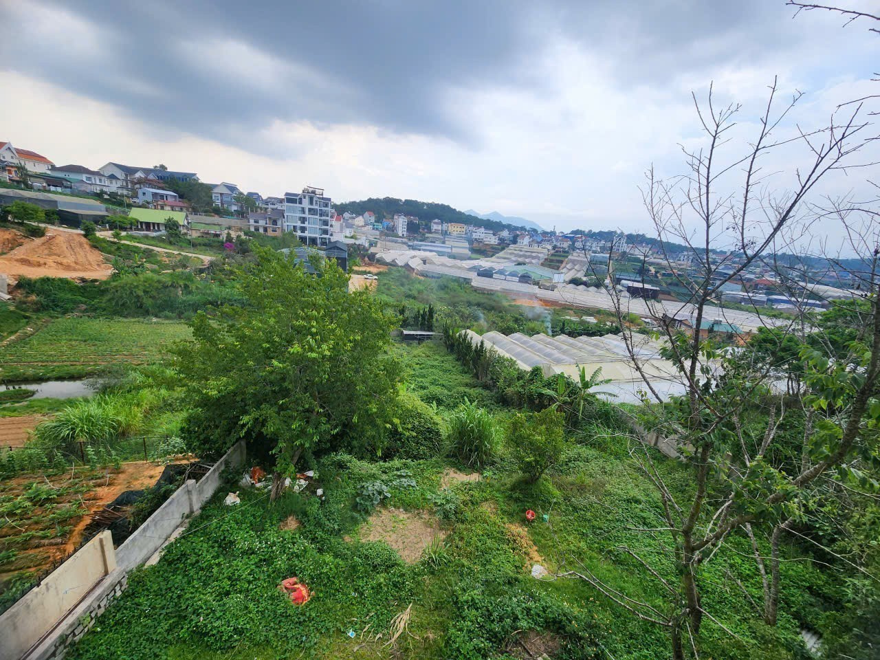 CHO THUÊ VILLA SÂN VƯỜN SIÊU RỘNG – PHƯỜNG LÂM VIÊN, ĐÀ LẠT 5