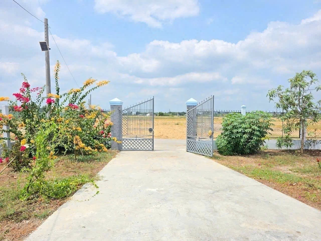 Bán nhà vườn Lạc Tấn, Tân Trụ tdt 485m2 ( 237m2 thổ) 1 lầu 2pn, 2wc giá 1,95 tỷ 3