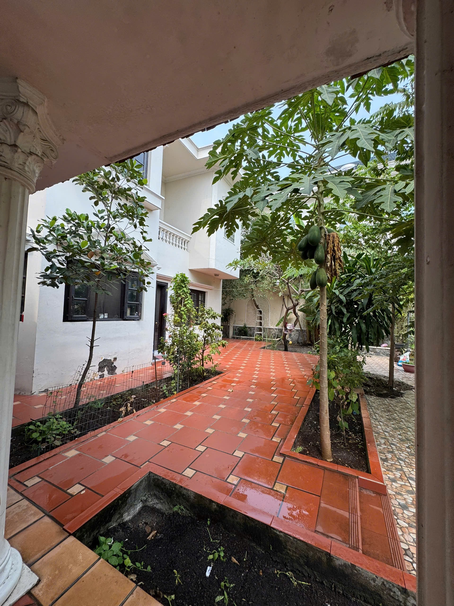 Cần bán Biệt thự Phường Bình Thọ, Thủ Đức, Diện tích 715m², Giá 72 Tỷ 5