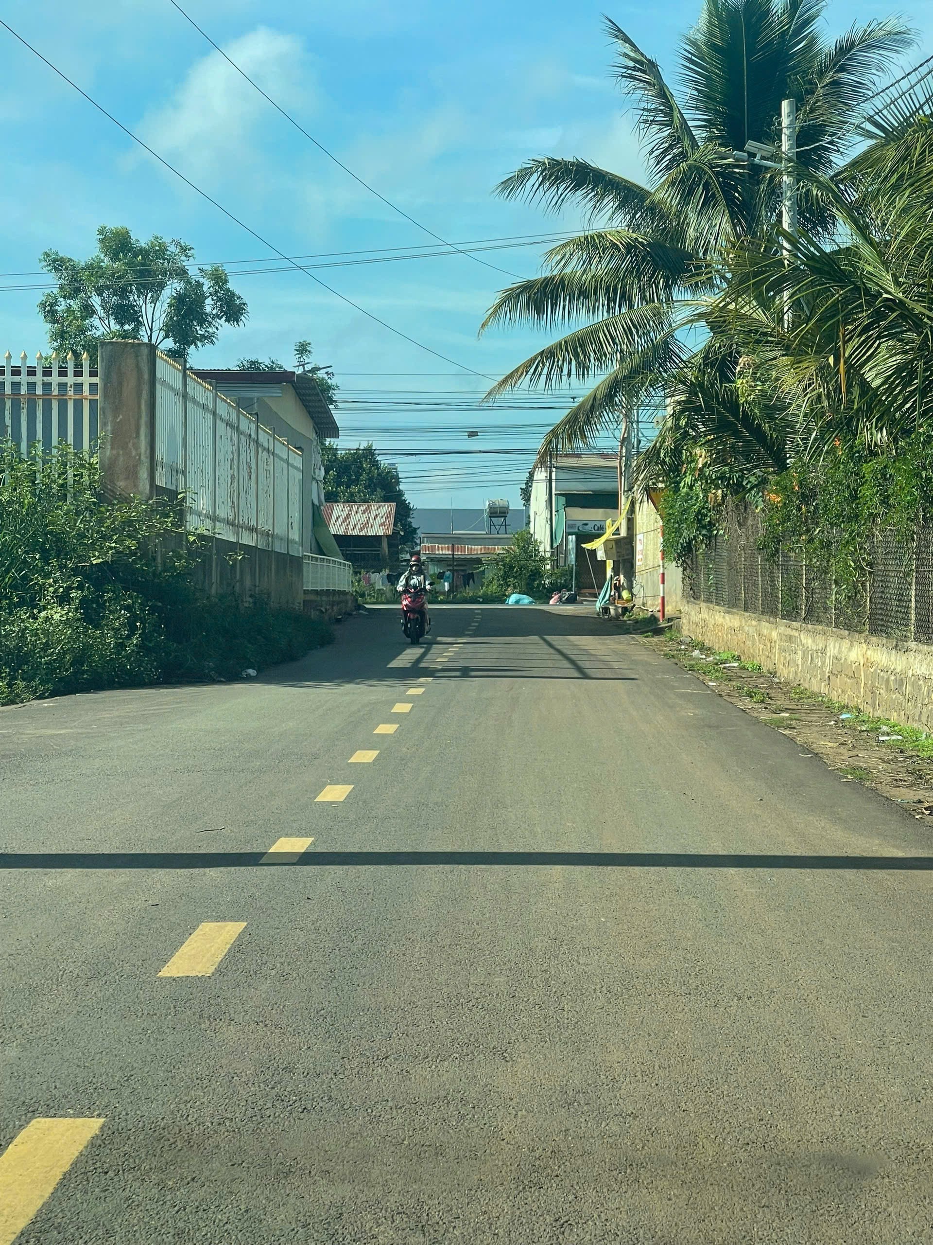 Bán 3300m2  đất đường nhựa gần sân bóng R"chai Phú Hội -Đức Trọng- Lâm Đồng. 12,5 tỷ. 5