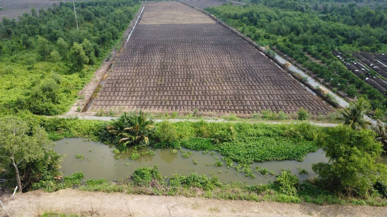 Bán đất view kênh đường oto đá xanh xã Bình Đức, Bến Lức dt 2400m2 ( 300m2 thổ)giá 2,8 tỷ 2