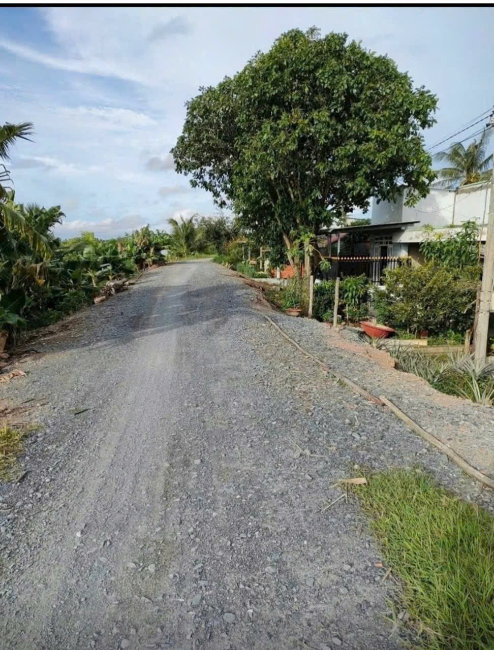 Bán đất vườn giáp ranh KCN Thịnh Phát, xã Lương Bình tdt 11.400m2 giá 7,5 tỷ 4