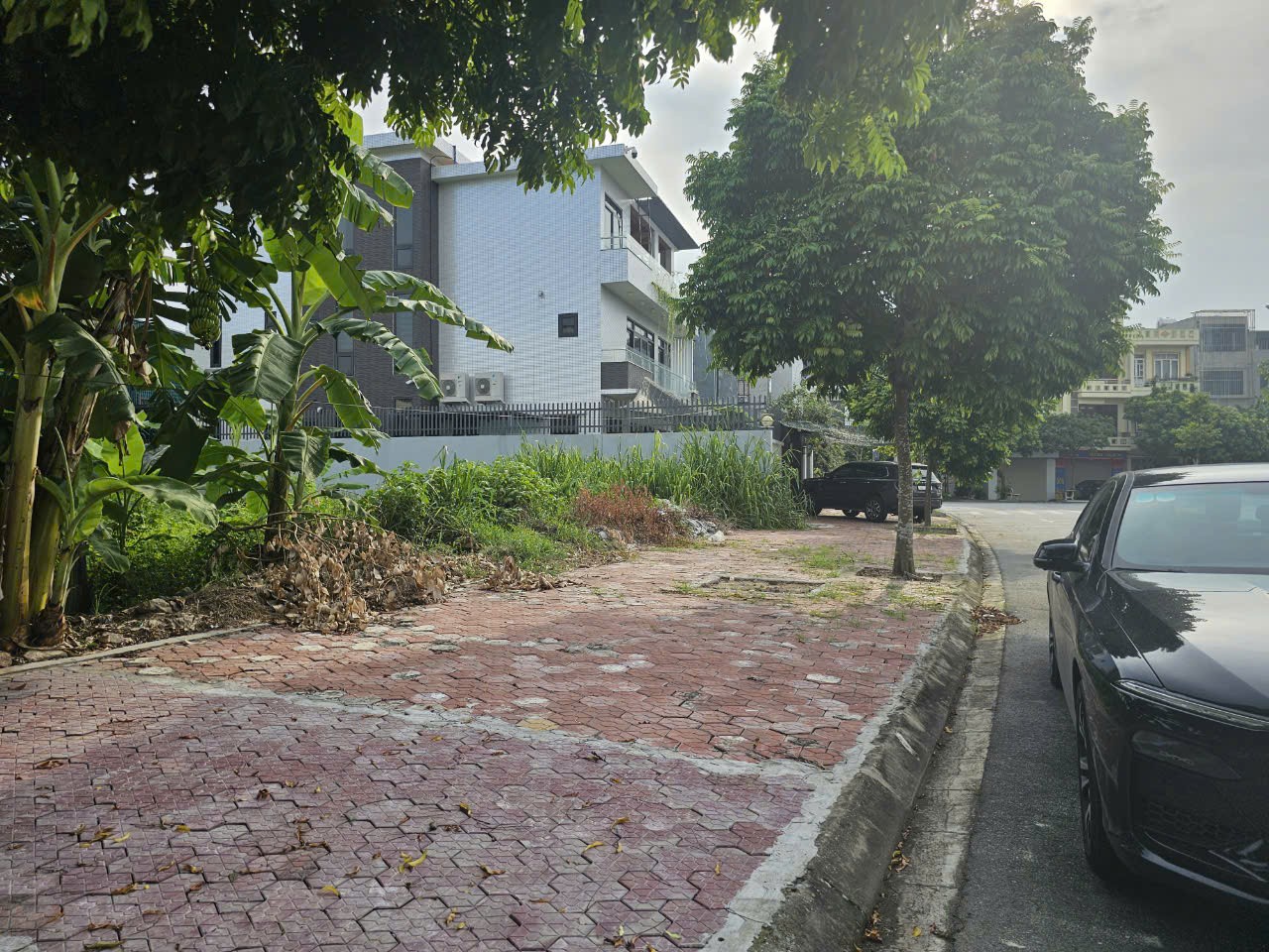 Cần bán Đất Phường Nhị Châu, Hải Dương, Diện tích 233m², Giá 230 Triệu/m² 3