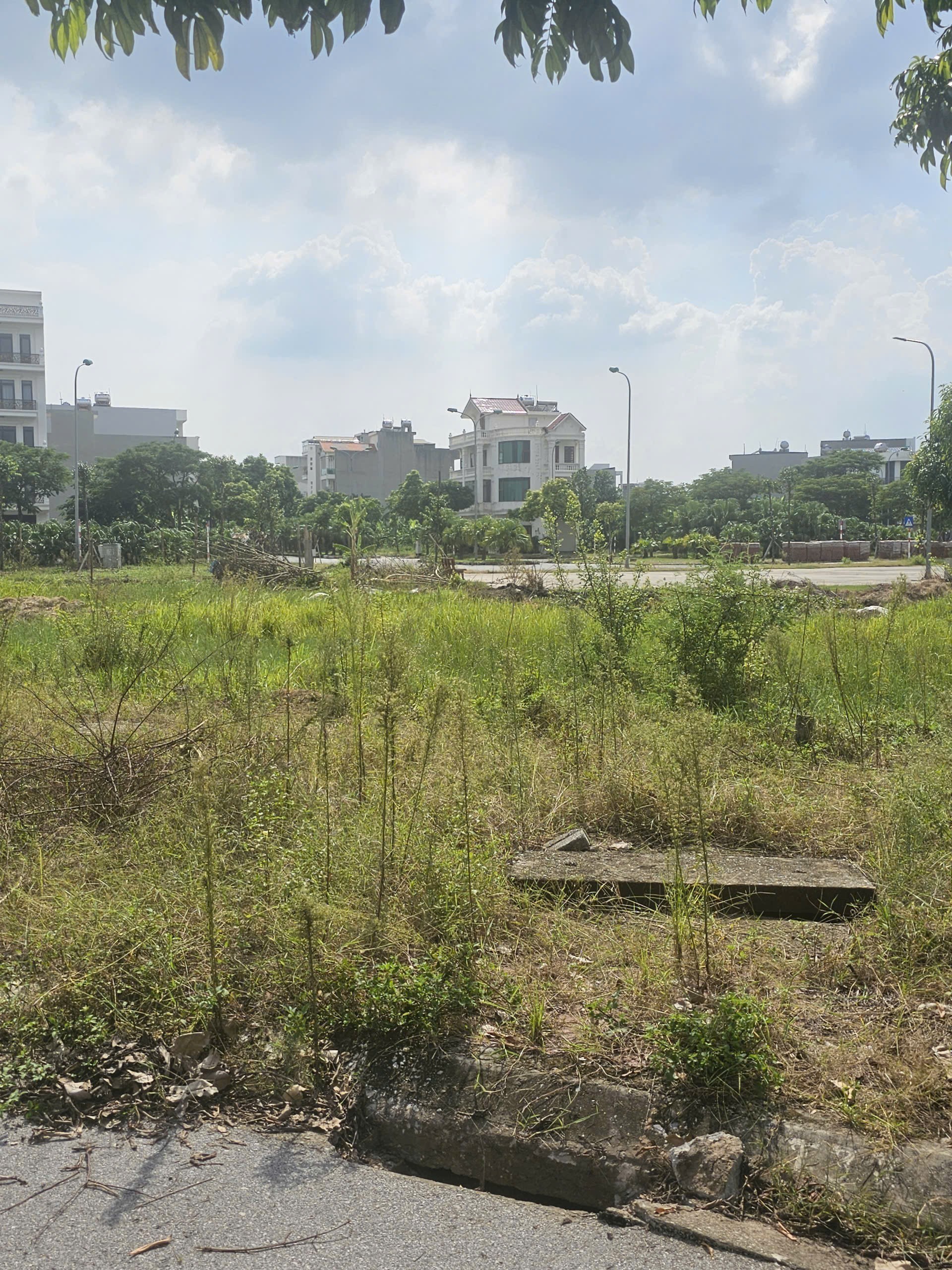 Cần bán Đất Phường Nhị Châu, Hải Dương