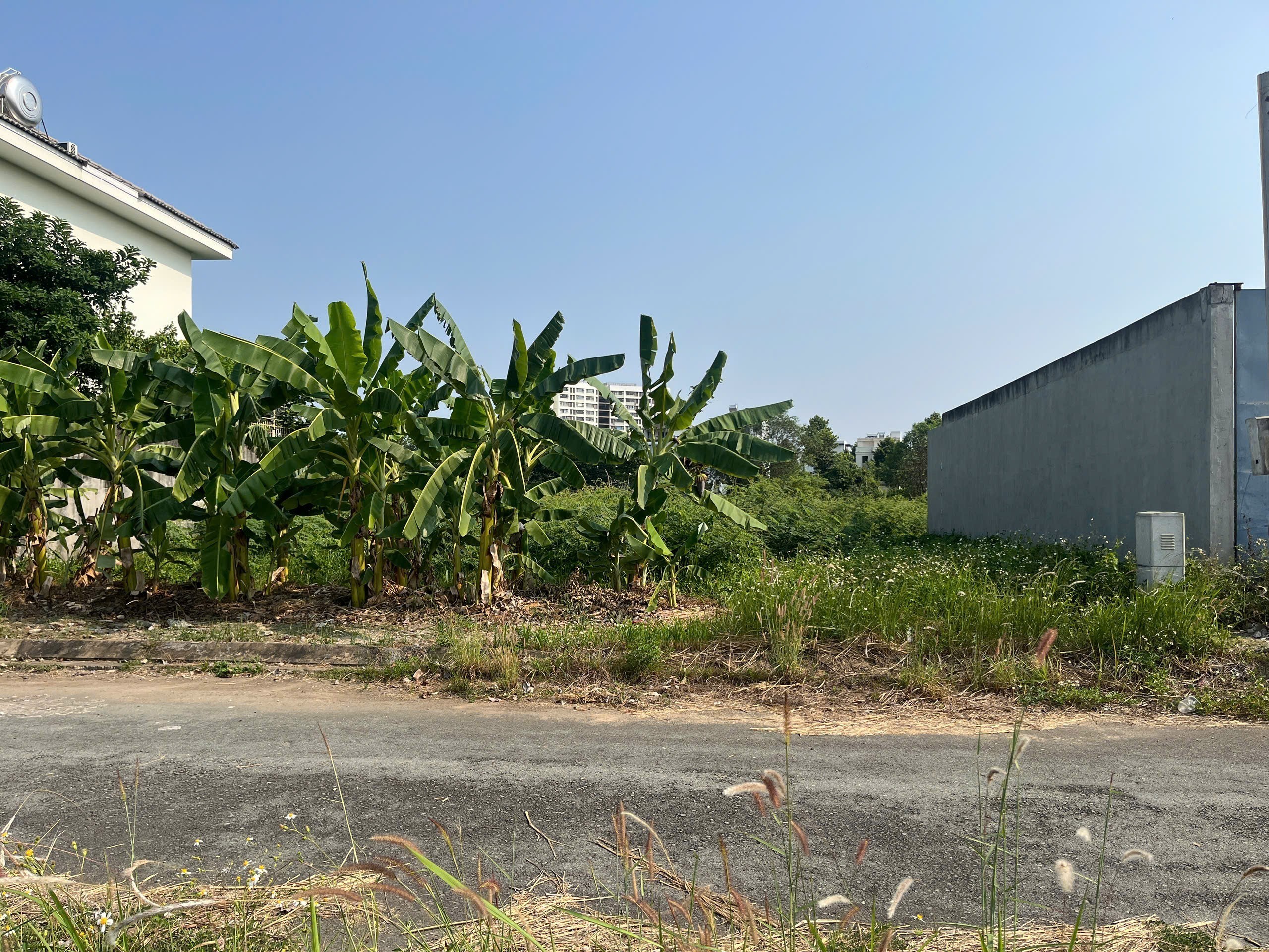 Cần bán Đất Quận 9, Hồ Chí Minh, Diện tích 300m², Giá 75 Triệu/m² 3