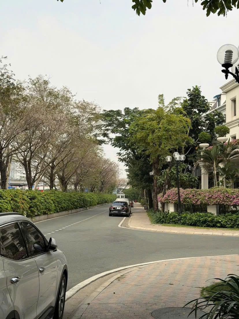 Cần bán Biệt thự Quận 7, Hồ Chí Minh, Diện tích 220m², Giá 54 Tỷ 13