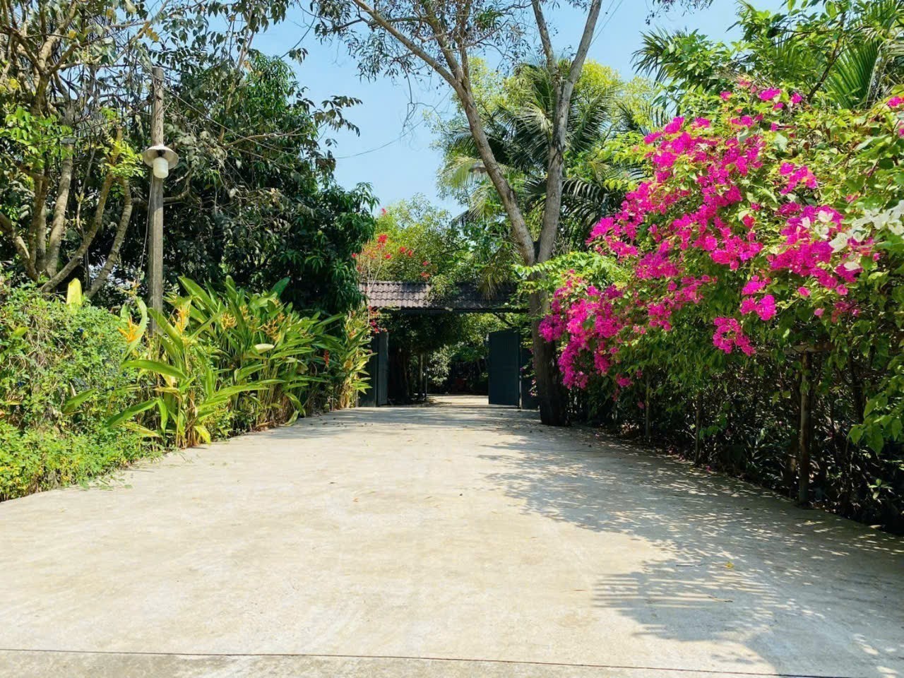 Cần bán Đất Phường Long Phước, Quận 9, Diện tích 3400m², Giá 38 Tỷ 2
