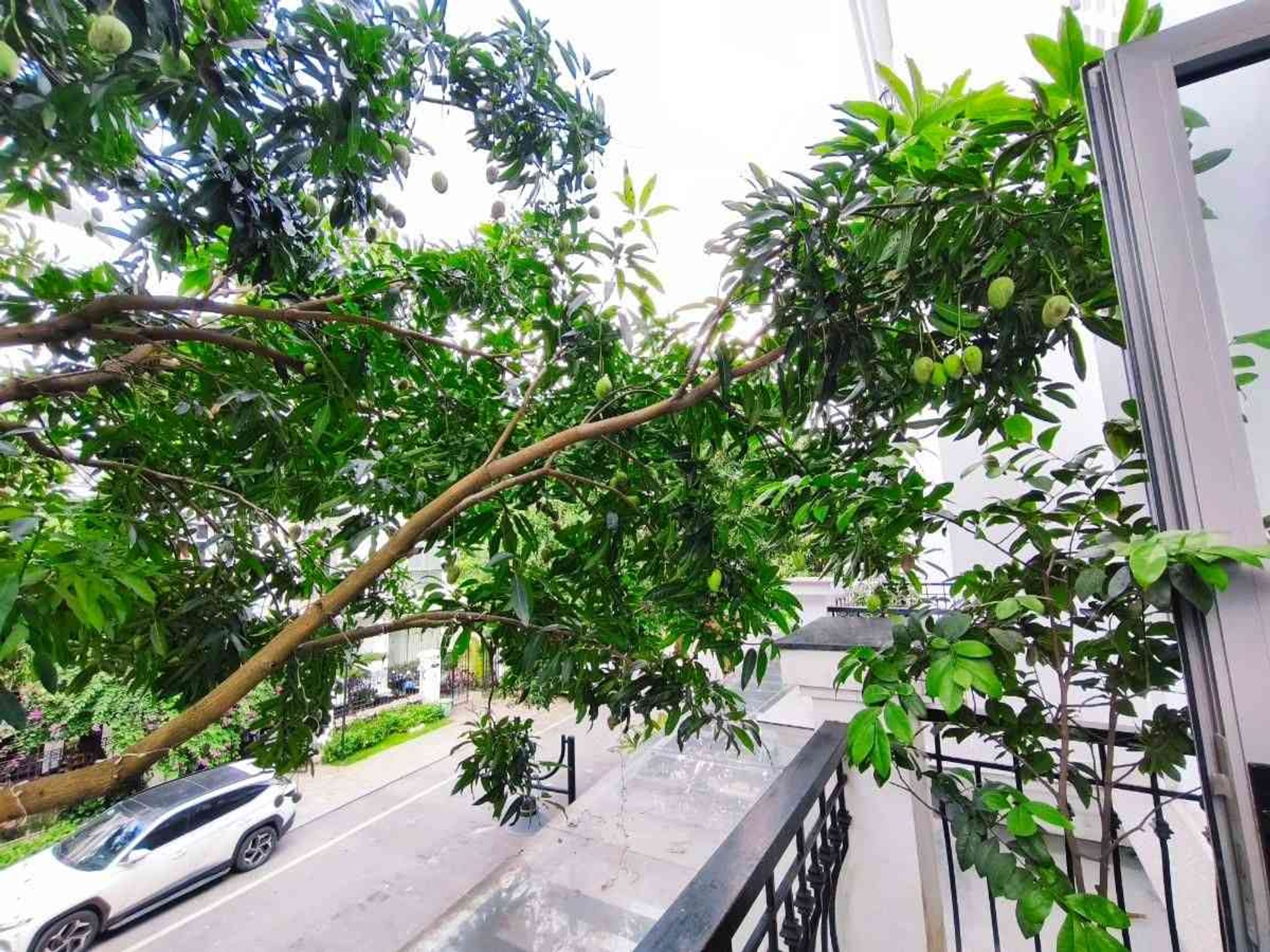 Nhà thật - Vinhome Riverside 85m gần hồ điều hòa 37 tỷ - Long Biên Hà Nội 5