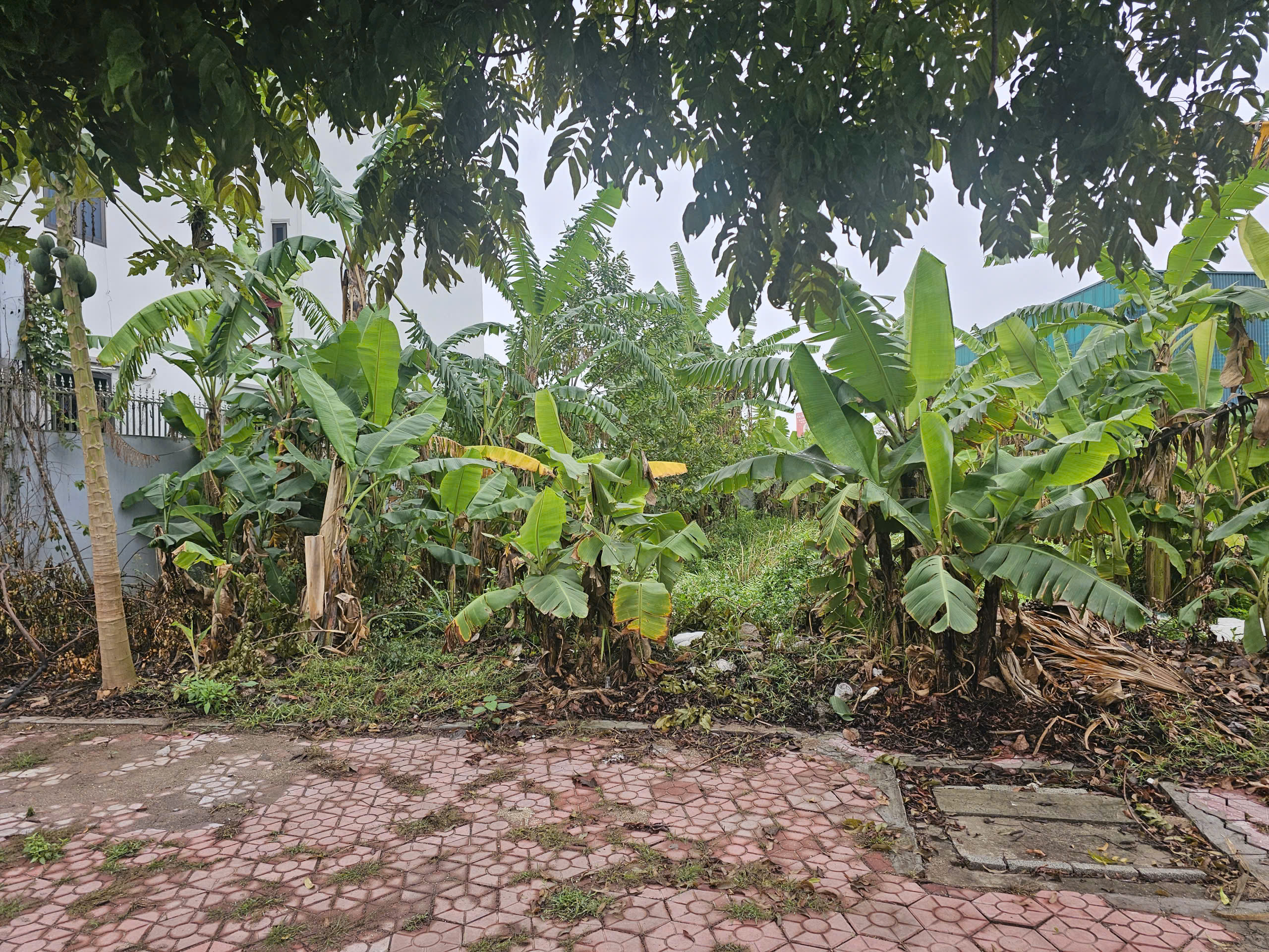 317m2 Cần bán Đất Phường Nhị Châu, Hải Dương