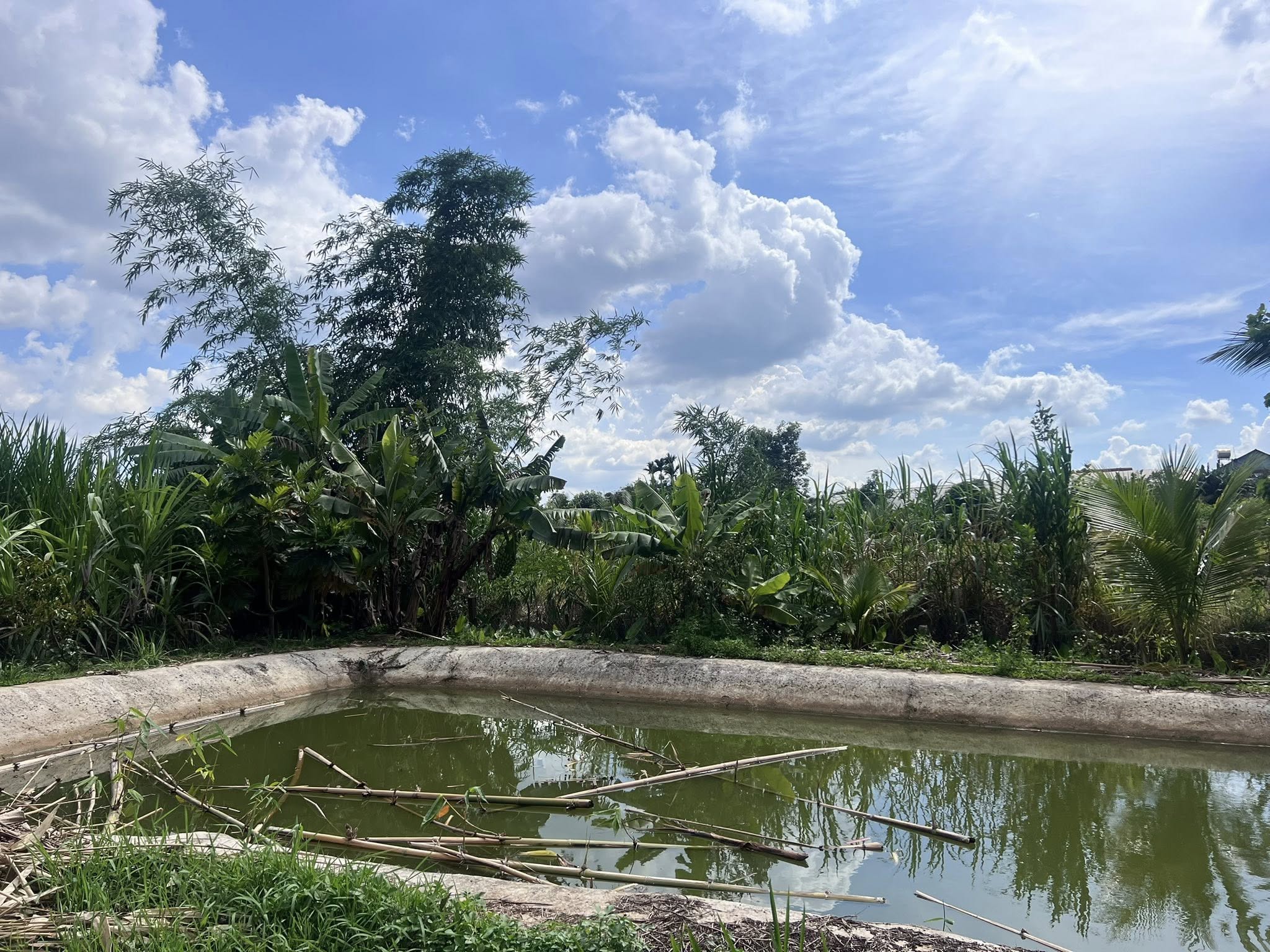 Cần bán Trang trại, rẫy, vườn đường Tỉnh lộ 725, Thị trấn Nam Ban, Diện tích 4800m², Giá 8.5 Tỷ 3