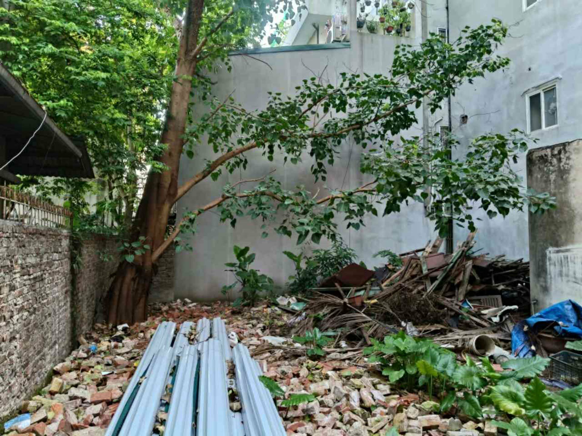Cần bán Đất đường Đại La, Phường Đồng Tâm, Diện tích 42m², Giá 25 Tỷ 2