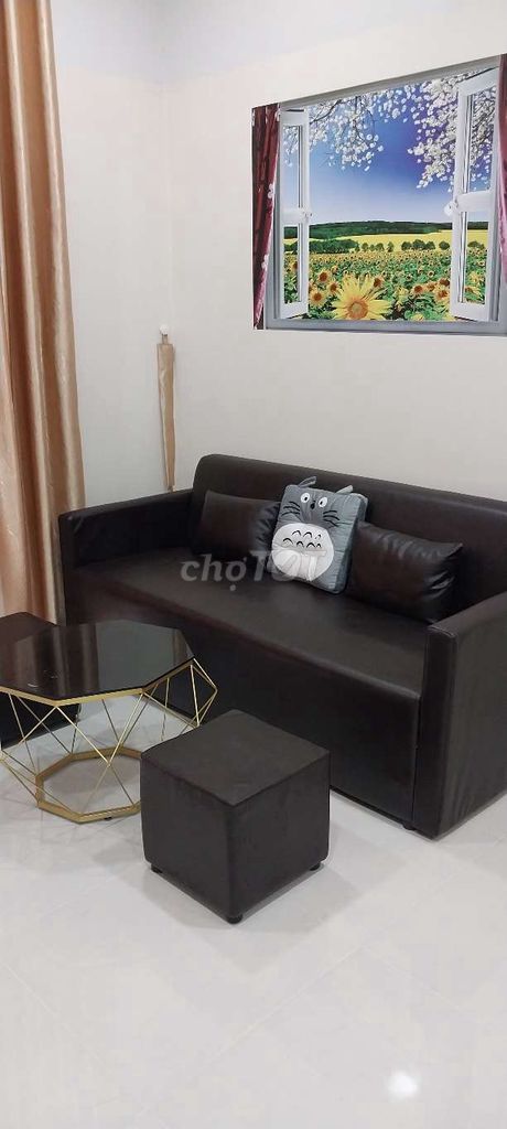 Cho thuê căn hộ cao cấp  Dhome. Trung tâm khu Chợ Lớn. Full nội thất 5
