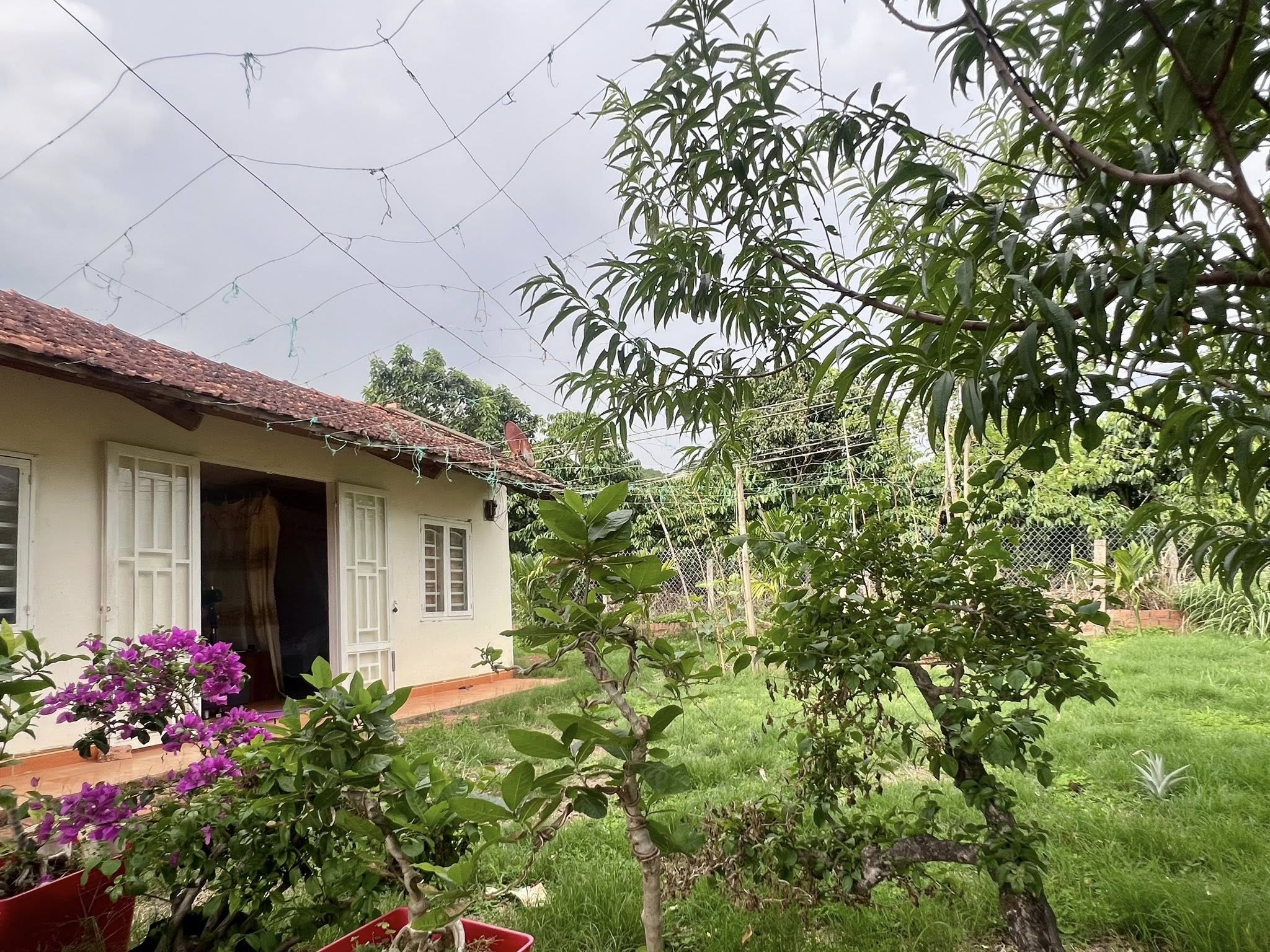 Cần bán Trang trại, rẫy, vườn đường Tỉnh lộ 725, Thị trấn Nam Ban, Diện tích 4800m², Giá 8.5 Tỷ 6