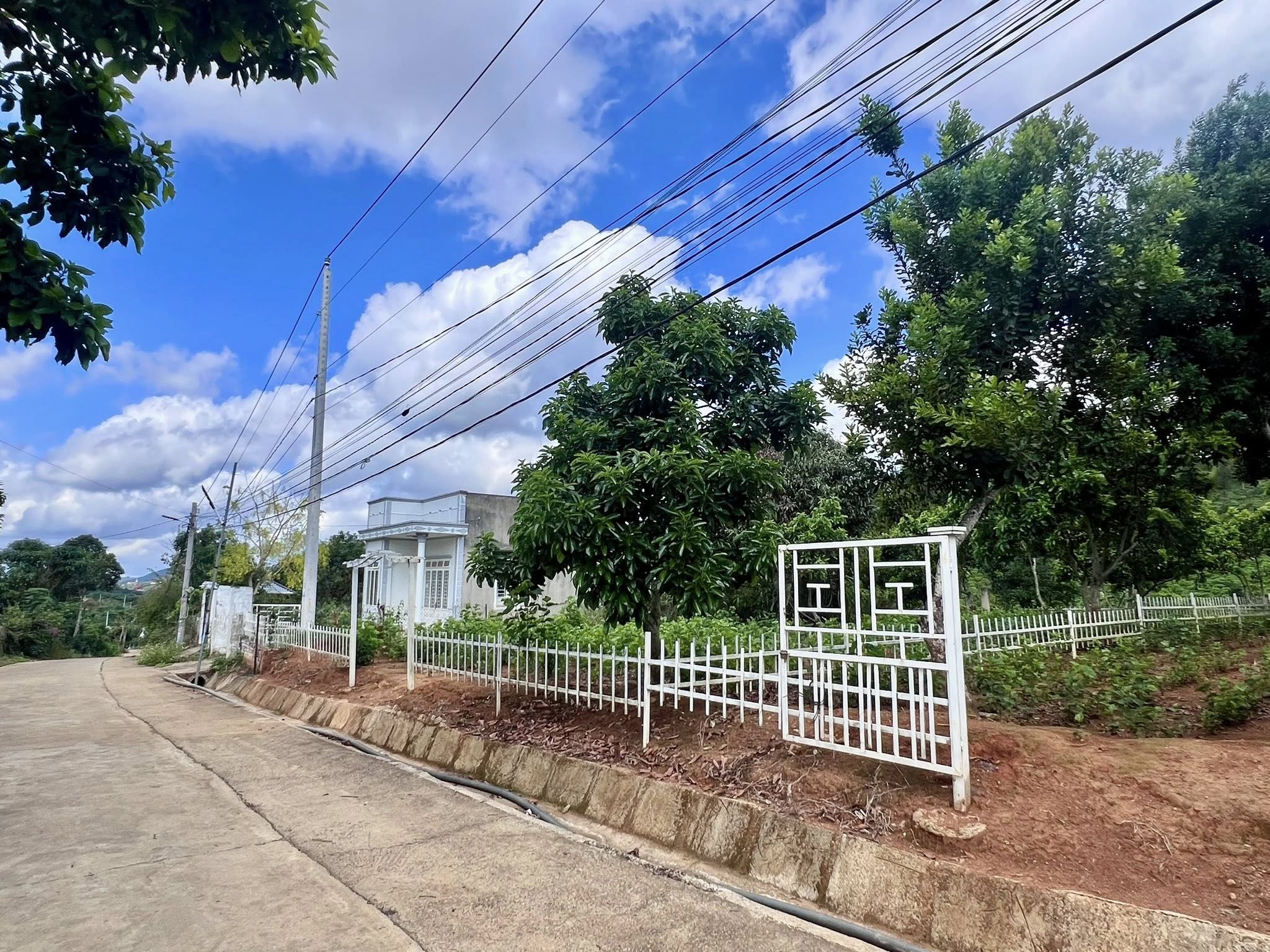 Cần bán Đất đường Tỉnh lộ 725, Xã Đông Thanh, Diện tích 540m², Giá 1.5 Tỷ 4