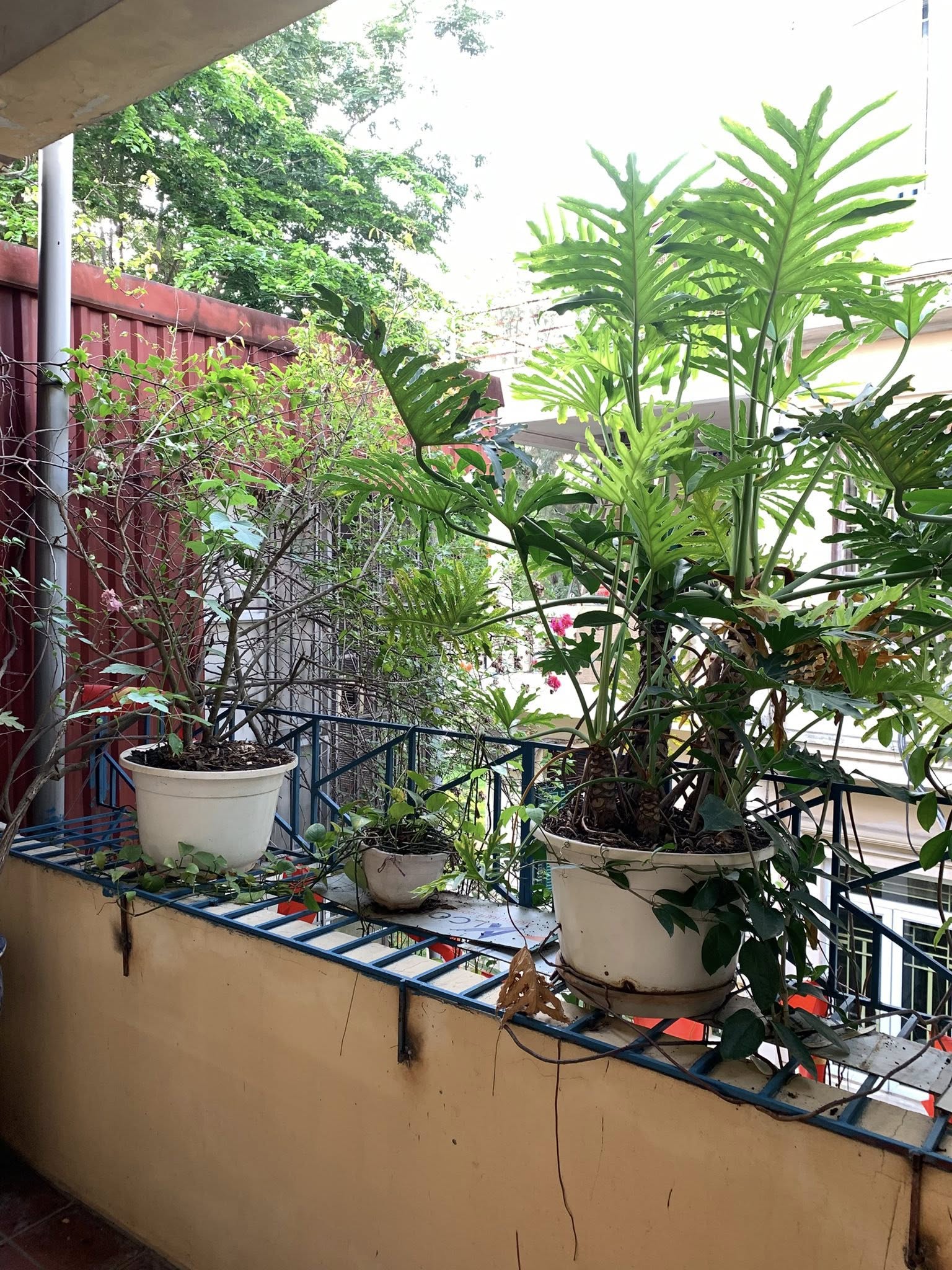 NHÀ MẶT NGÕ-70Mx5T-3 MẶT THOÁNG-20M RA PHỐ NGUYỄN ĐÌNH CHIỂU-VIEW CÔNG VIÊN-Ở SƯỚNG 3