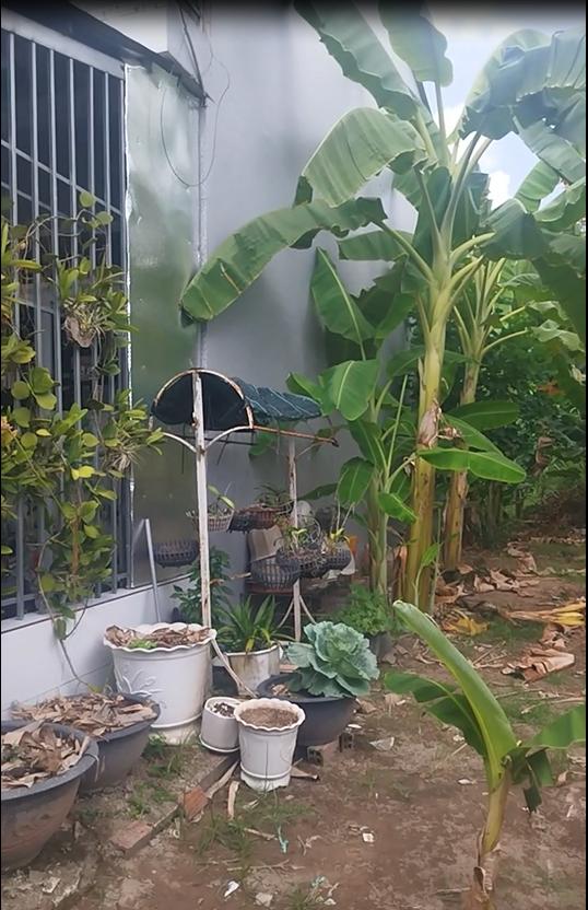 Bán Đất Ở Sổ Hồng 77m2 Hẻm Nguyễn Tất Thành, An Hòa, TP Sa Đéc, ĐT. Giá 1.1 Tỷ. 5