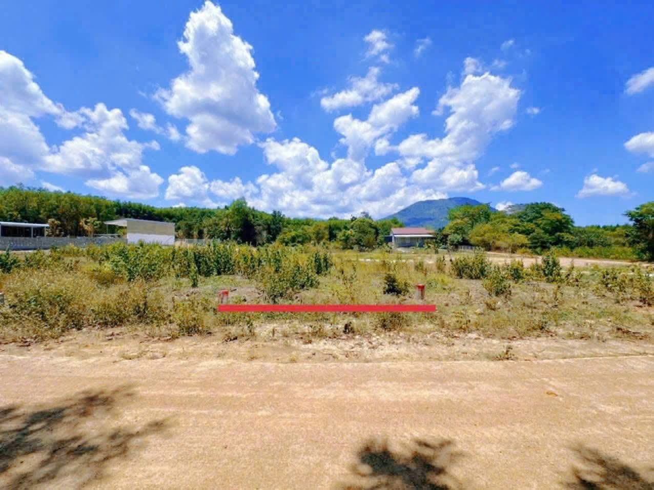 Bán đất Diên Xuân giá rẻ gần khu du lịch Nhân Tâm cũ đường bê tông ô tô tận nơi 3