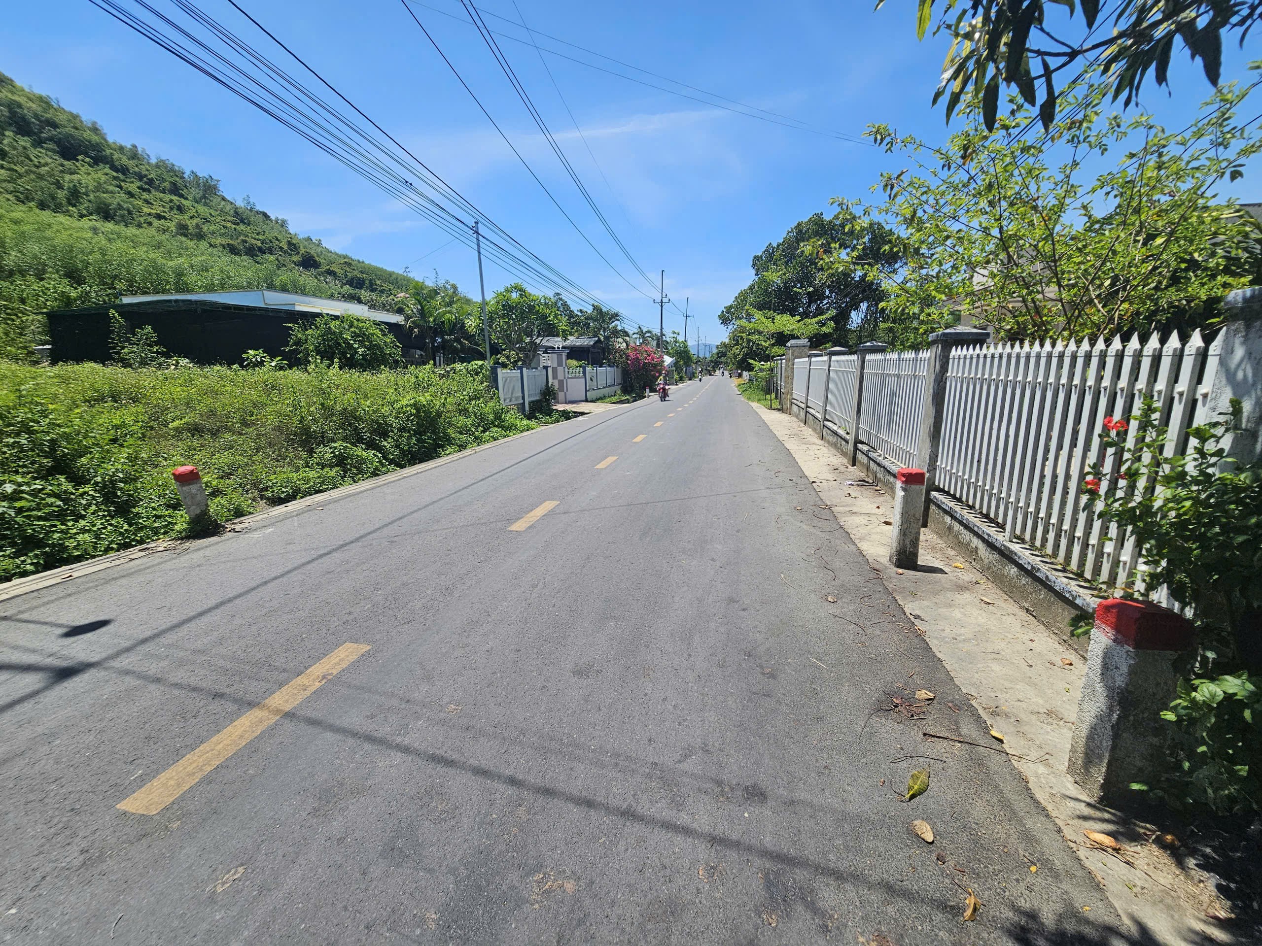 Bán đất Diên Tân mặt tiền Hương Lộ 62 hợp xây nhà vườn kho xưởng gần công ty Đảnh Thạnh 4
