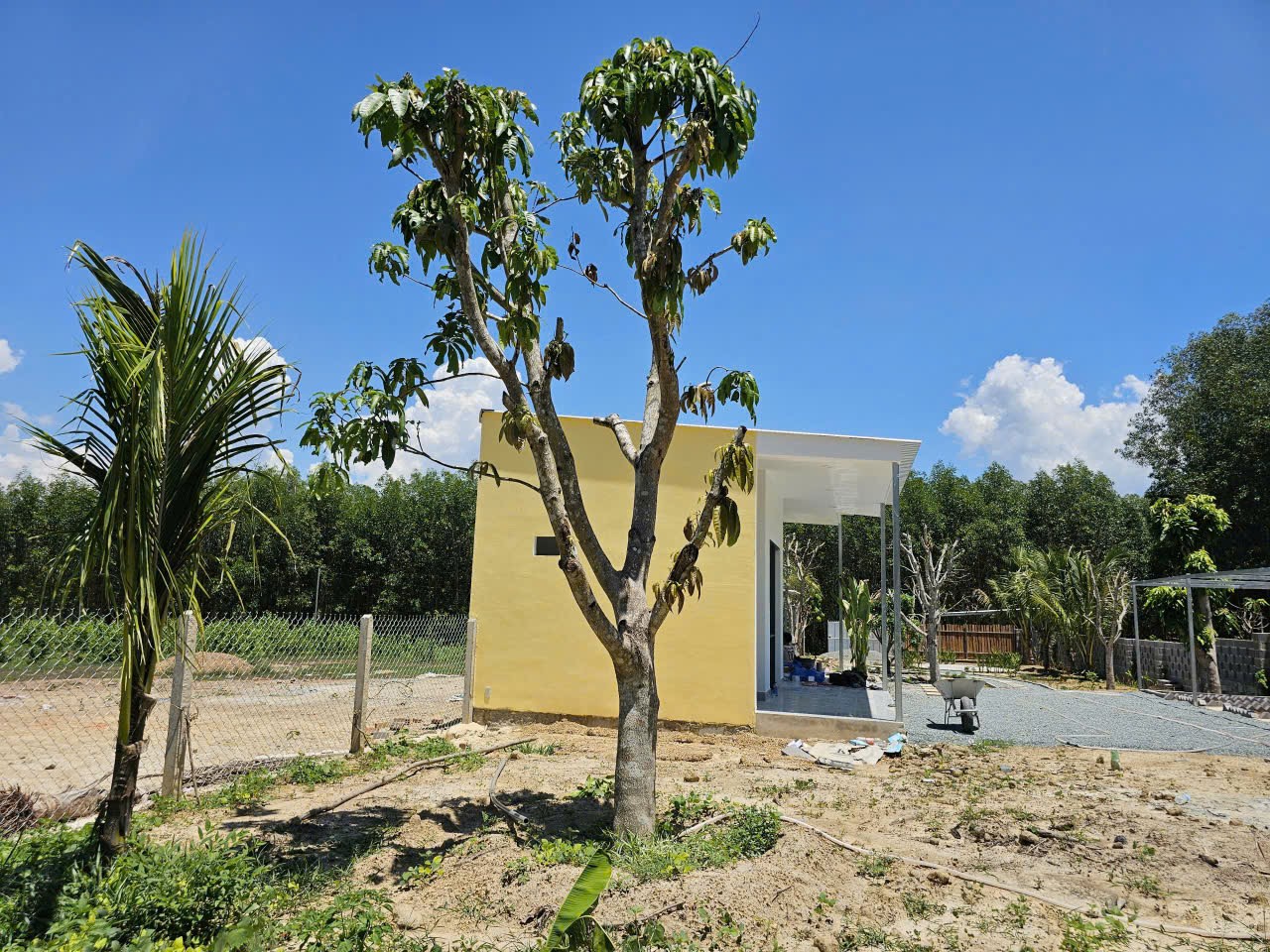 Bán đất Diên Xuân giá rẻ sẵn thổ cư đã lên mô hình nhà vườn nghỉ dưỡng gần KDL Nhân Tâm cũ 6