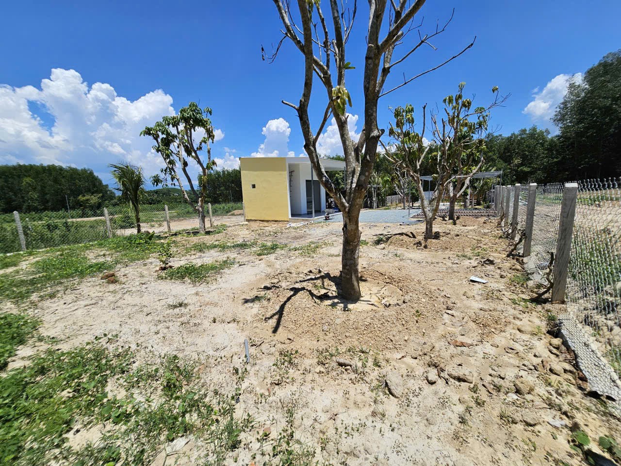 Bán đất Diên Xuân giá rẻ sẵn thổ cư đã lên mô hình nhà vườn nghỉ dưỡng gần KDL Nhân Tâm cũ 19