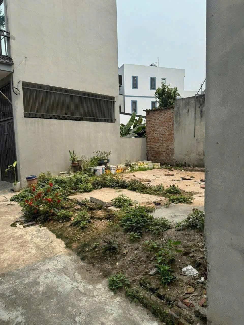 Cần bán Đất đường Giáp Bát, Phường Giáp Bát, Diện tích 40m², Giá 10.2 Tỷ 3