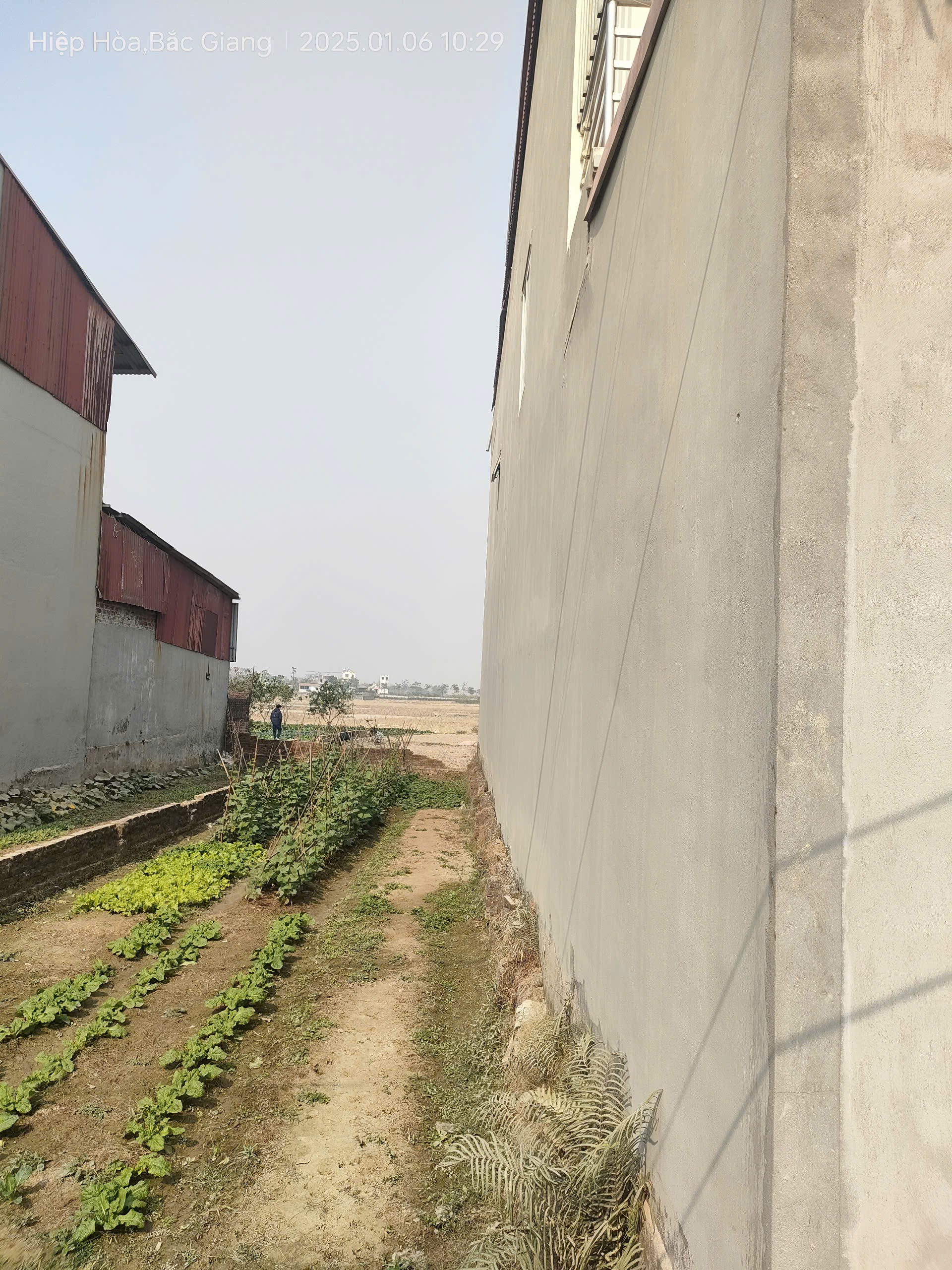 Bán gấp giá rẻ Bắc Lý 100m, đất, mặt tiền 5m, 1.1 tỷ Hiệp Hòa, Bắc Giang. 2
