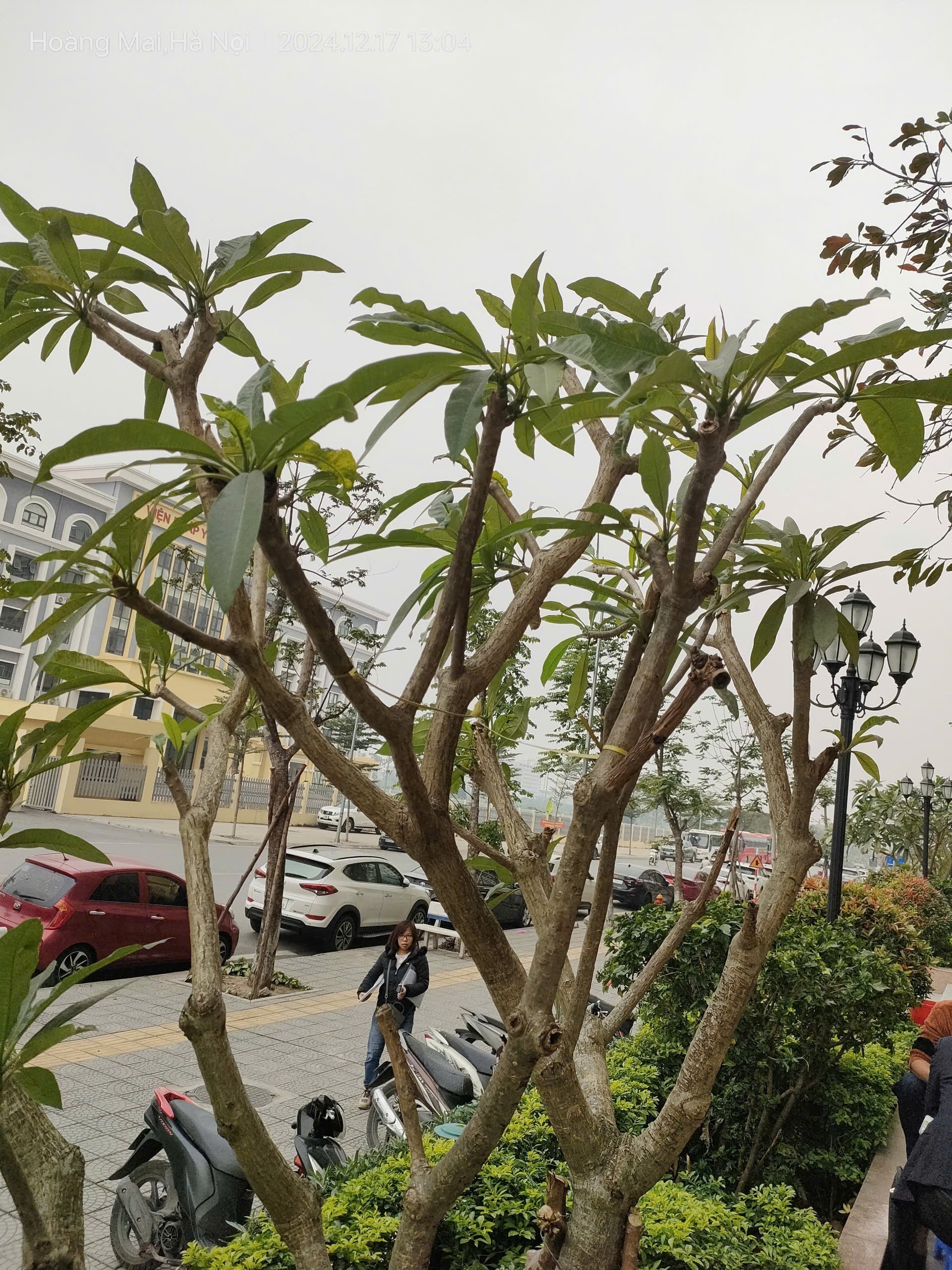 Bán gấp giá rẻ chung cư Trần Thủ Độ 83m, tầng 9, mặt thoáng 10m, 5.7 tỷ Hoàng Mai. 2