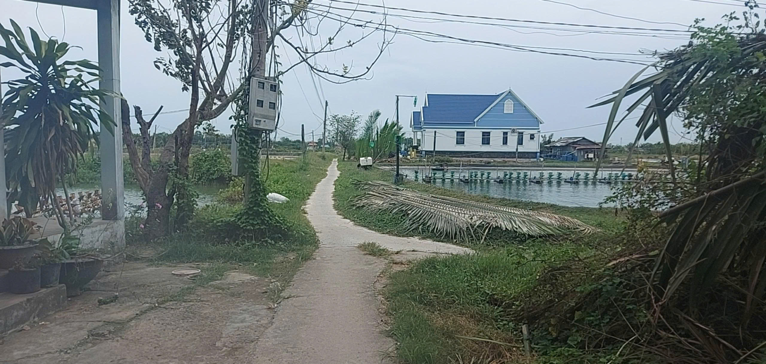 Đất thổ cư 609m2 mt view sông Vàm Cỏ giá rẻ khách mua đầu tư 700tr