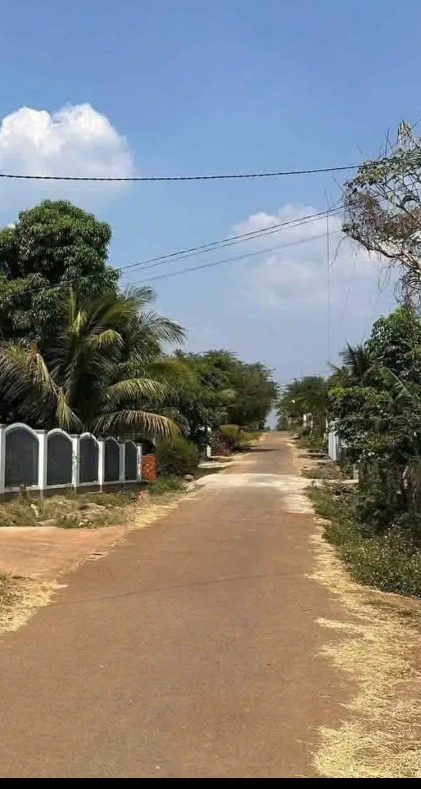 Tổng diện tích 1352m2, vuông vắn và rất đẹp. 2