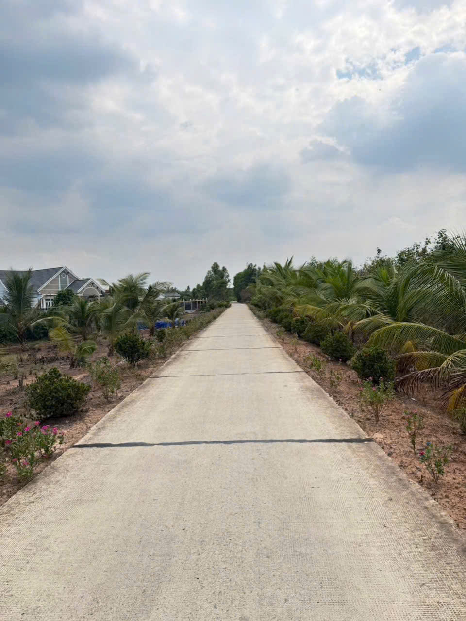 Bán đất vườn có rào sẵn, đường oto đá xanh xã Thạnh Hòa dt 1000m2 giá 870 triệu
