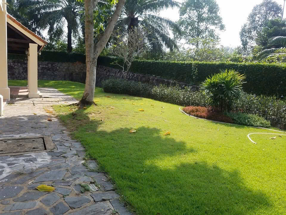 Cho thuê Biệt thự Quận 9, Hồ Chí Minh, Diện tích 625m², Giá 070 Triệu/tháng 6