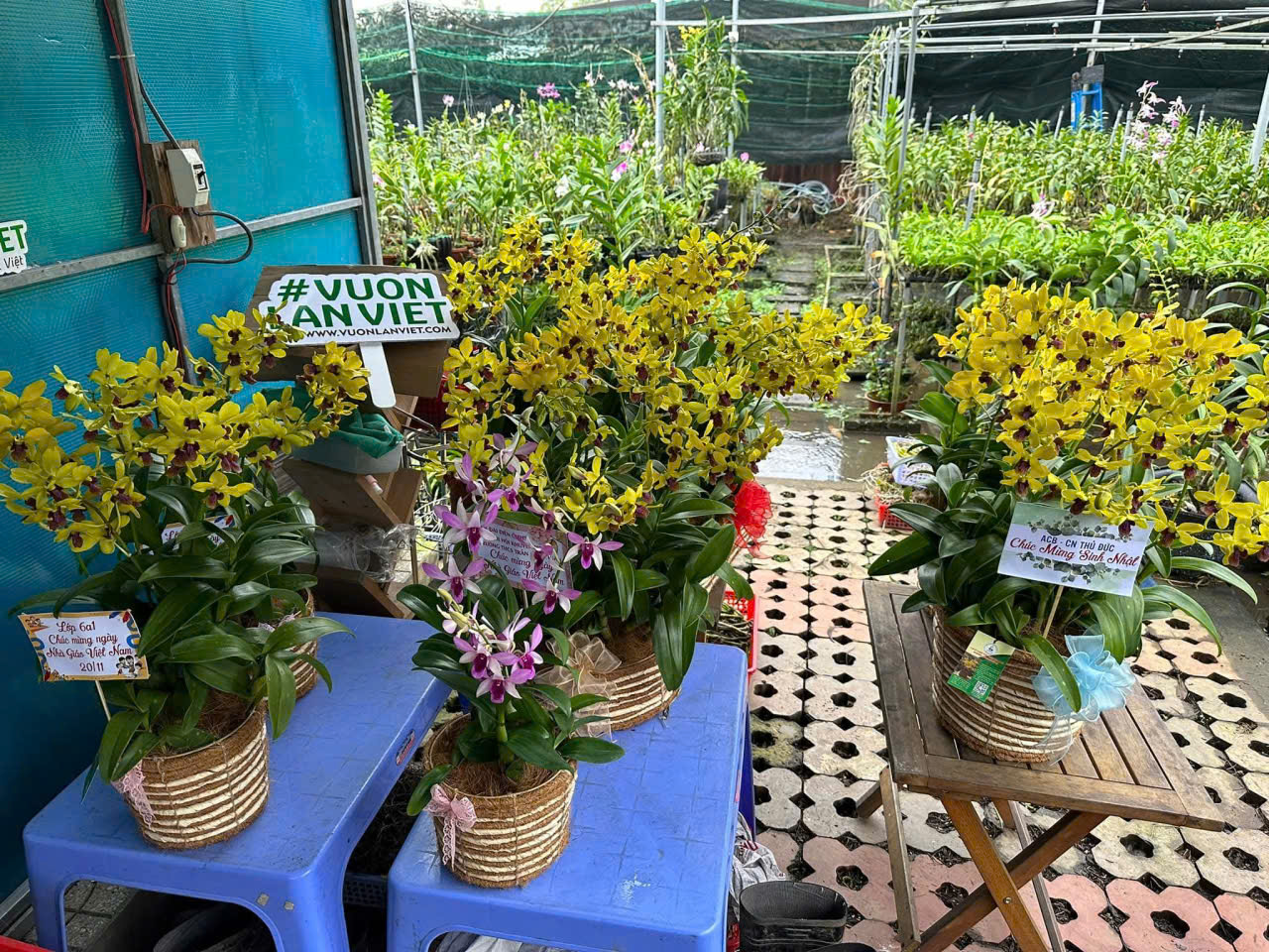 Cho thuê Đất Phường Phú Hữu, Quận 9, Diện tích 200m², Giá Thương lượng 19