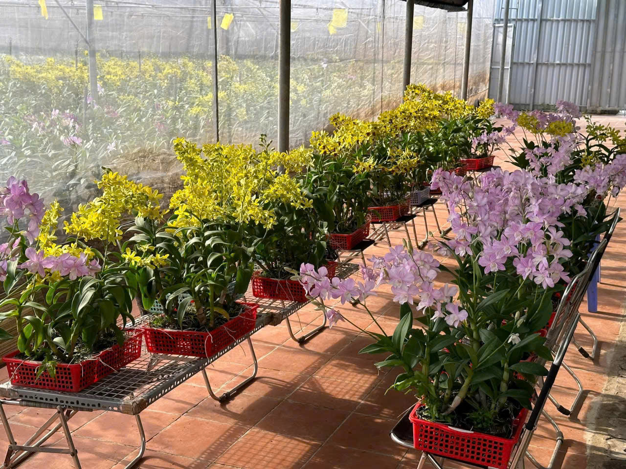Cho thuê Đất Phường Phú Hữu, Quận 9, Diện tích 200m², Giá Thương lượng