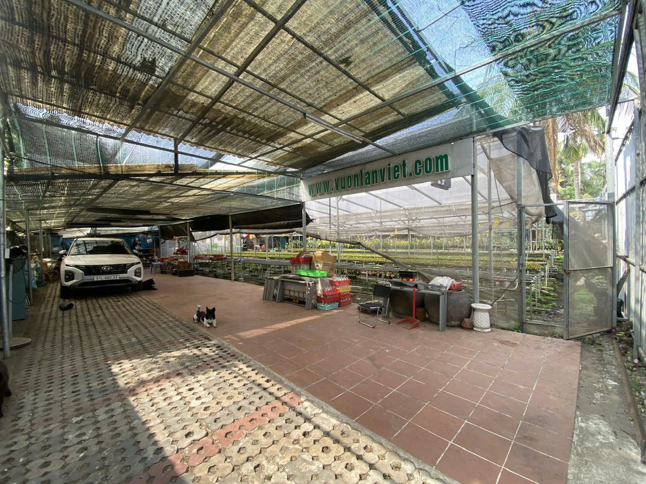 Cho thuê Đất Phường Phú Hữu, Quận 9, Diện tích 200m², Giá Thương lượng 7