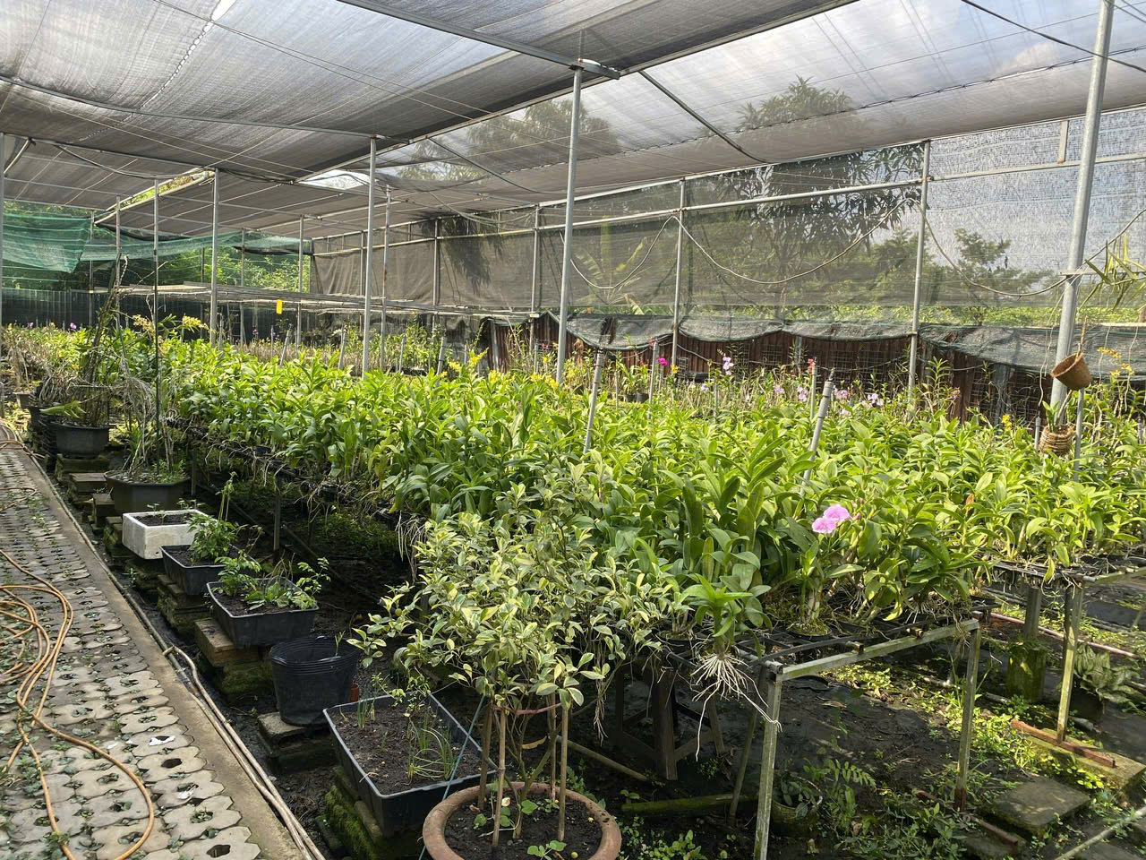 Cho thuê Đất Phường Phú Hữu, Quận 9, Diện tích 200m², Giá Thương lượng 18