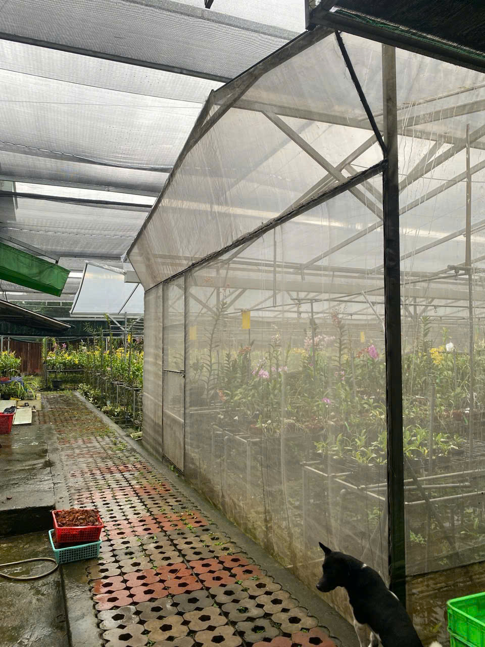 Cho thuê Đất Phường Phú Hữu, Quận 9, Diện tích 200m², Giá Thương lượng 14
